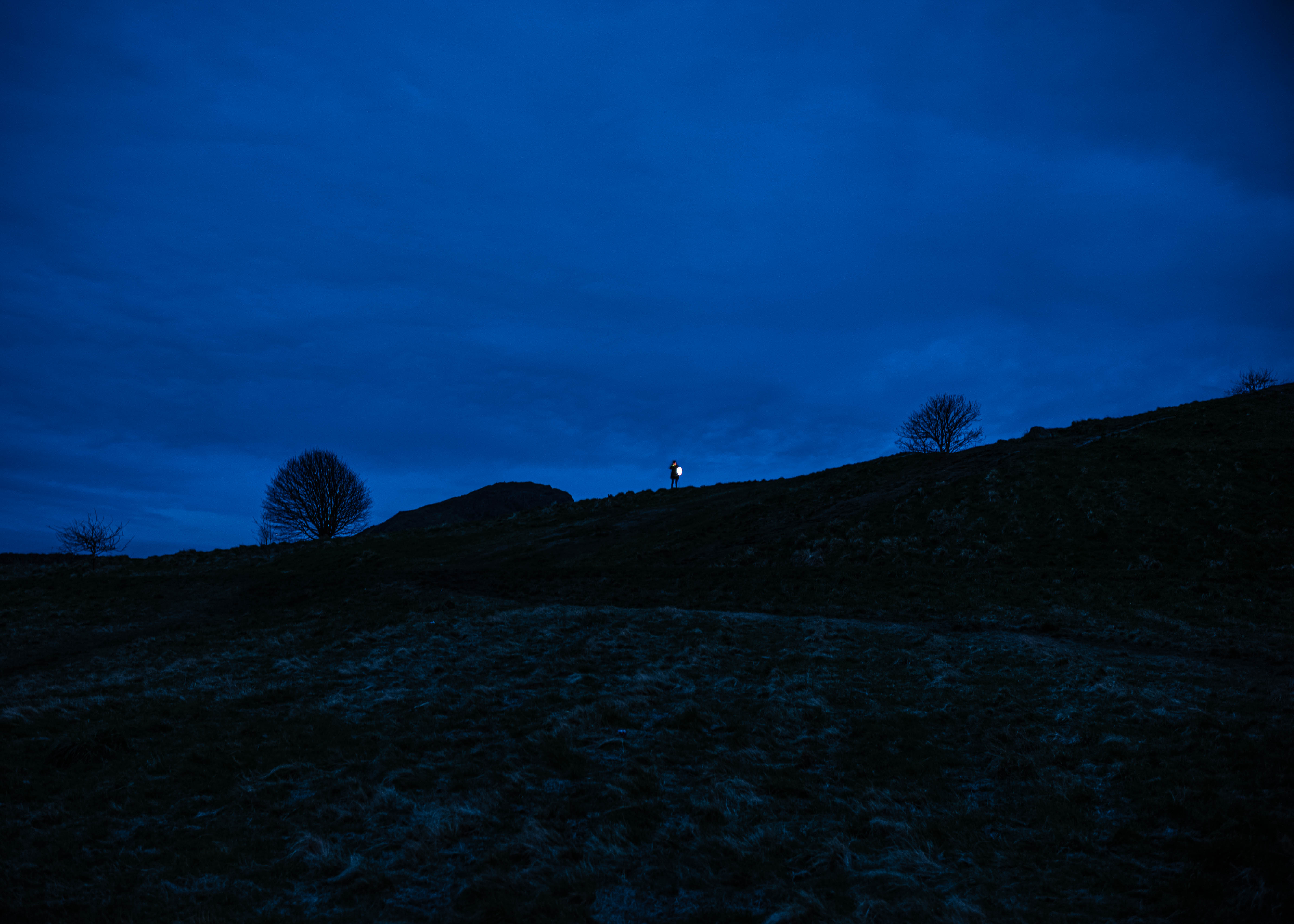 EDİNBURGH - Kilted Turkey