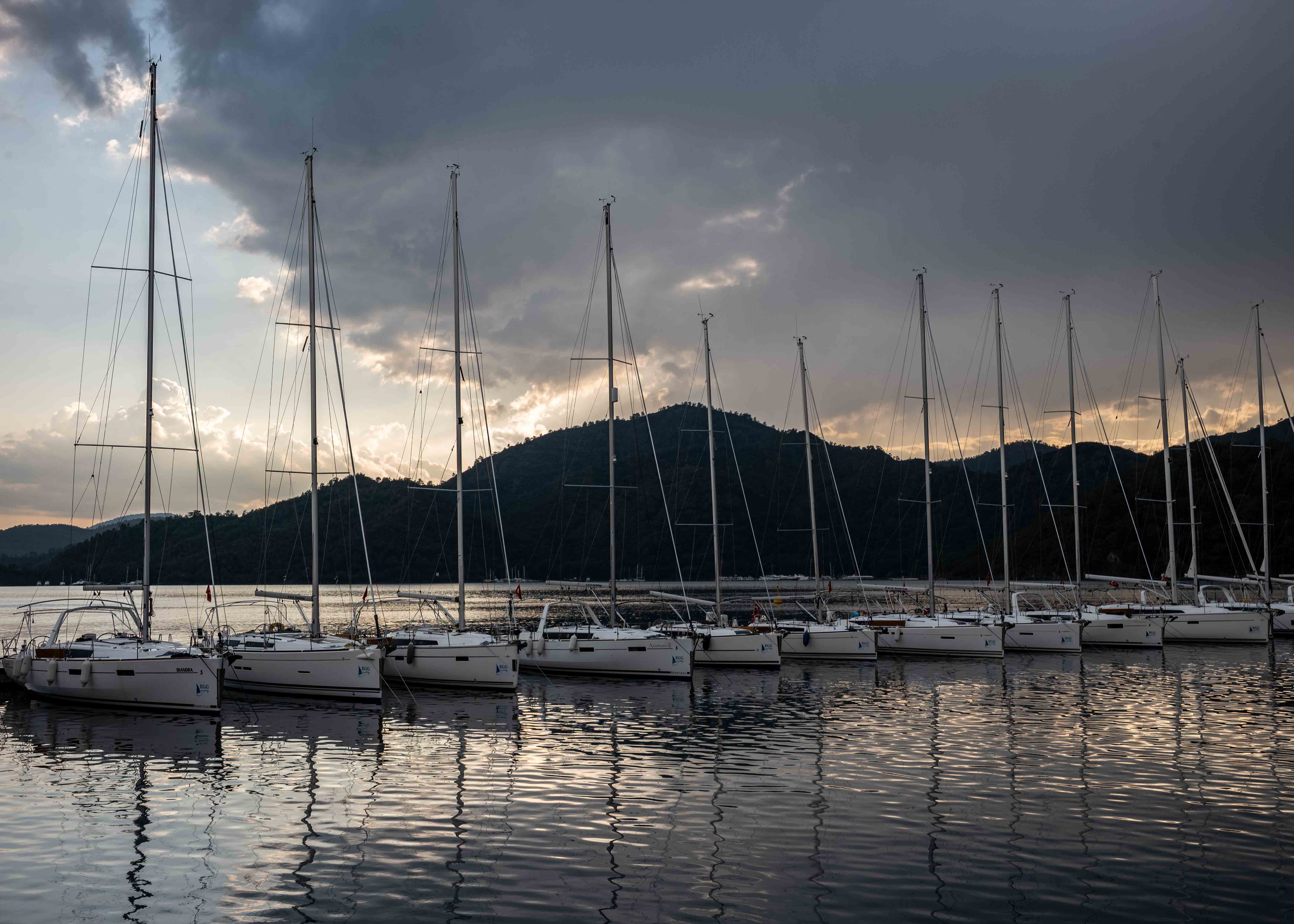 GÖCEK - Kilted Turkey